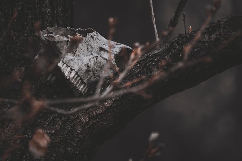 Fantasy trees